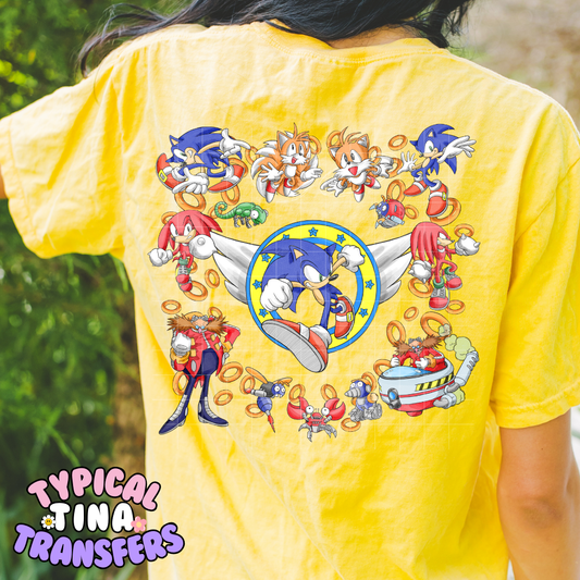 old school hedgehog | DTF Screen Print | POD