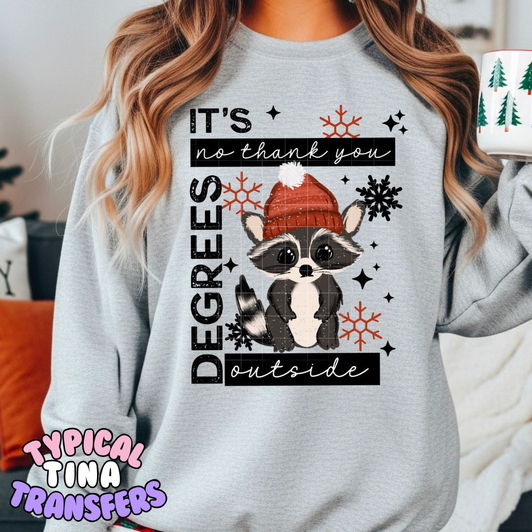 Racoon its a no thank you degrees outside | DTF Transfers | POD