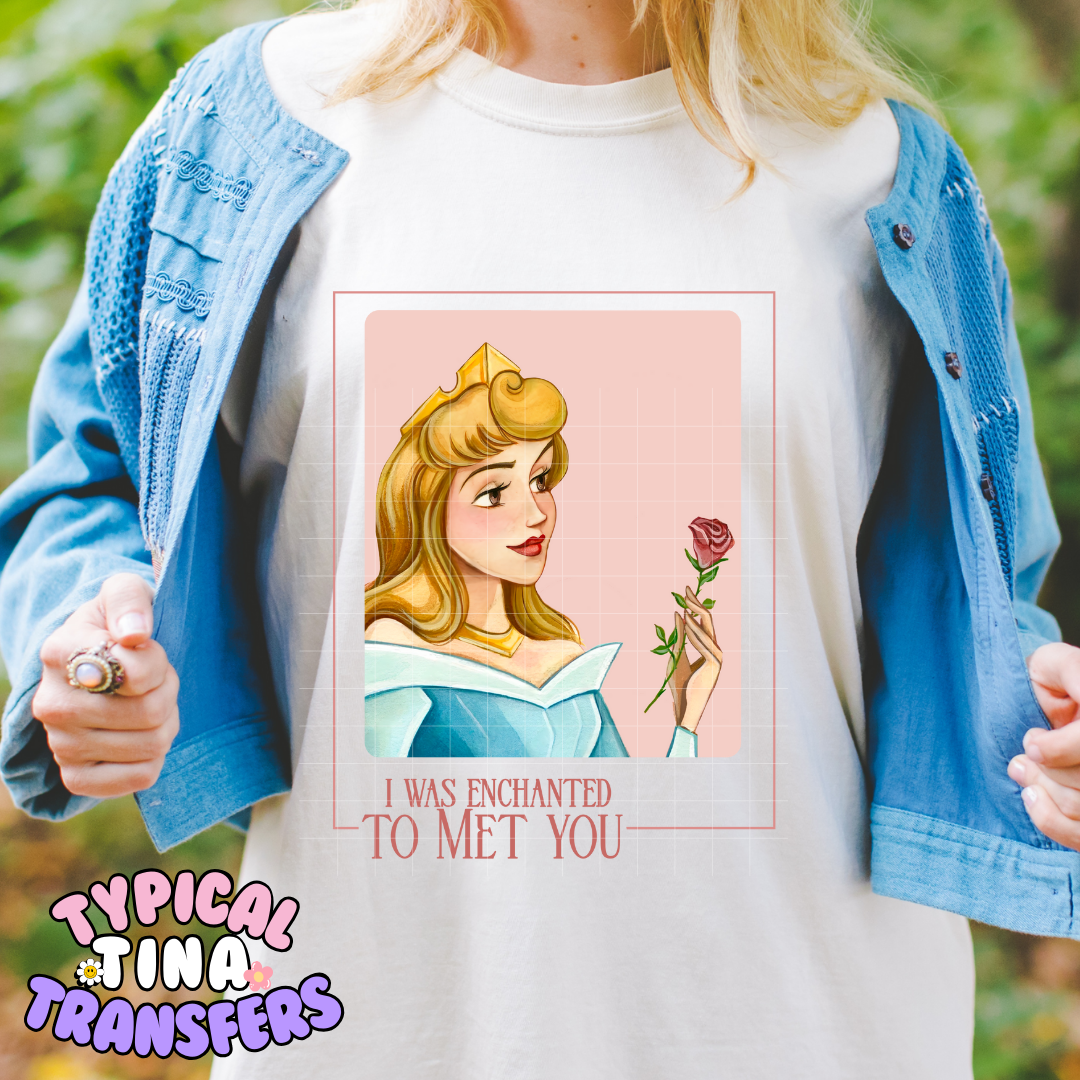 Princess Portraits | DTF Screen Print | POD - choose design