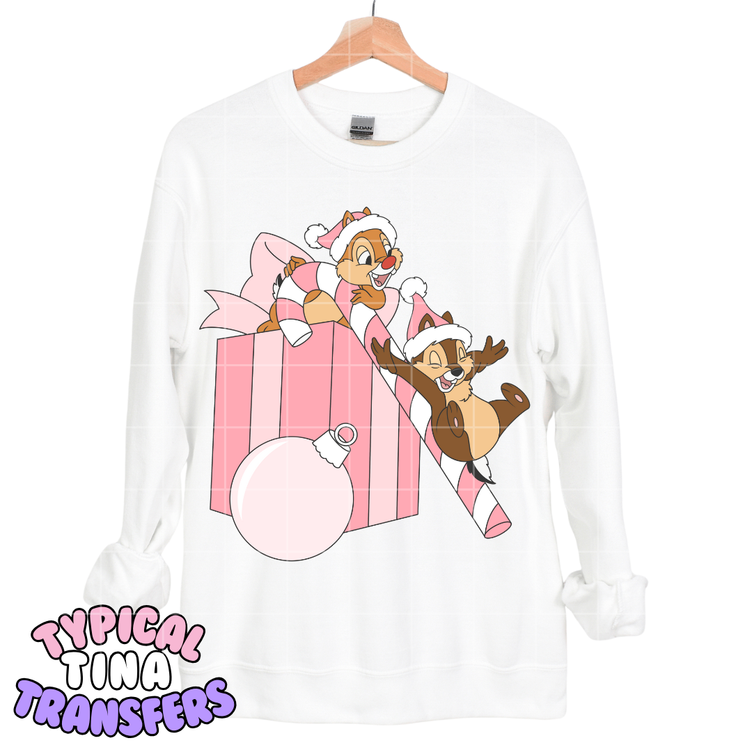 C&D chipmunks giftbox | DTF Transfers | POD