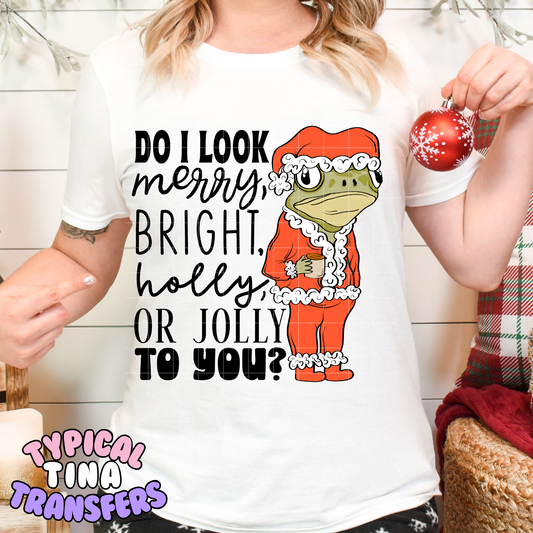 Frog: Do I look Merry bright, holly to you | DTF Transfer | POD