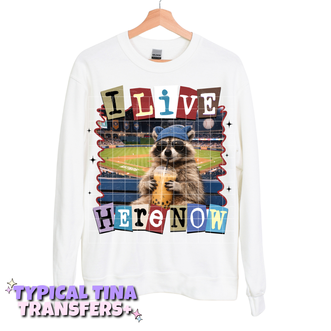 Racoon I live here now | DTF Transfers | POD