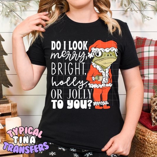 Frog: Do I look Merry bright, holly to you | DTF Transfer | POD