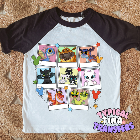 Training Dragon Portraits | DTF Screen Print | POD