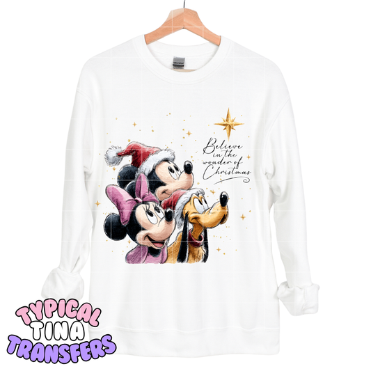 Believe in the wonder of christmas | DTF Screen Print | POD