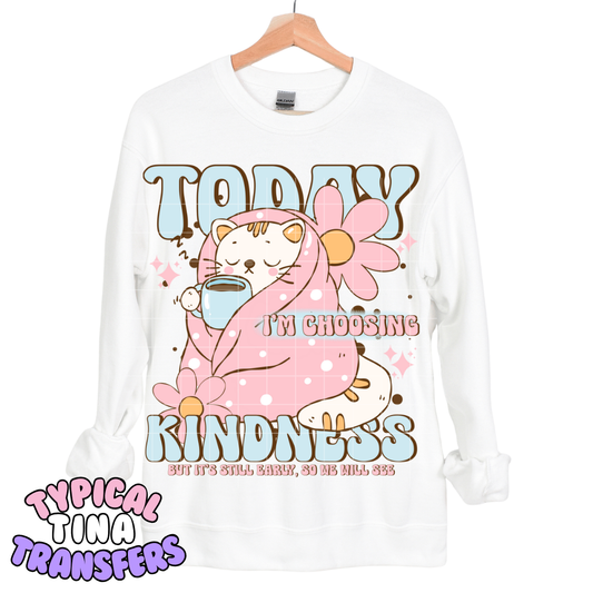 Today is choosing kindness | DTF Transfers | POD