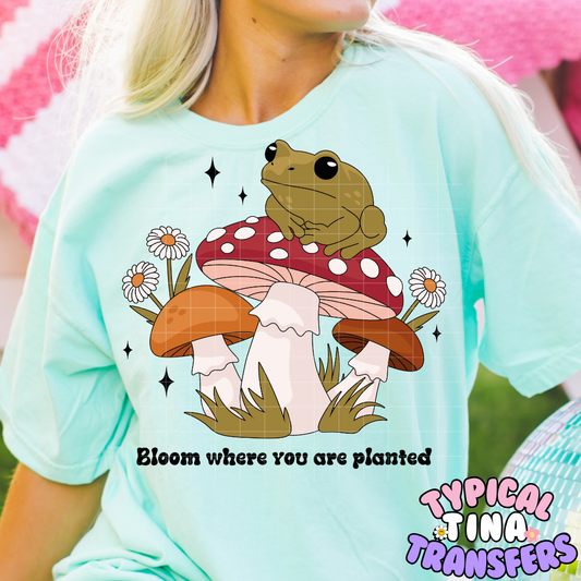 Bloom Where you are planted Frog | DTF Screen Print | POD