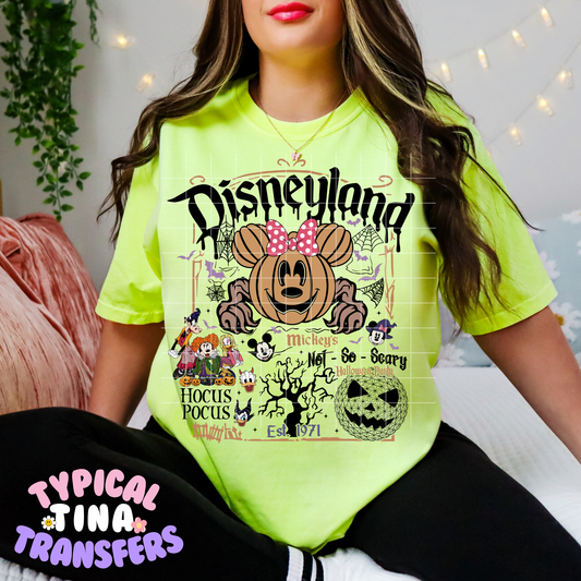 Dis Land Mural Min Pumpkin |  DTF Transfer | POD