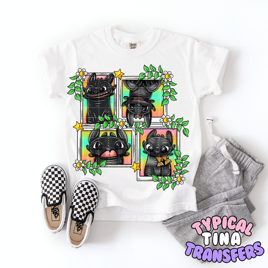 Toothless Flower frames | DTF Transfer | POD