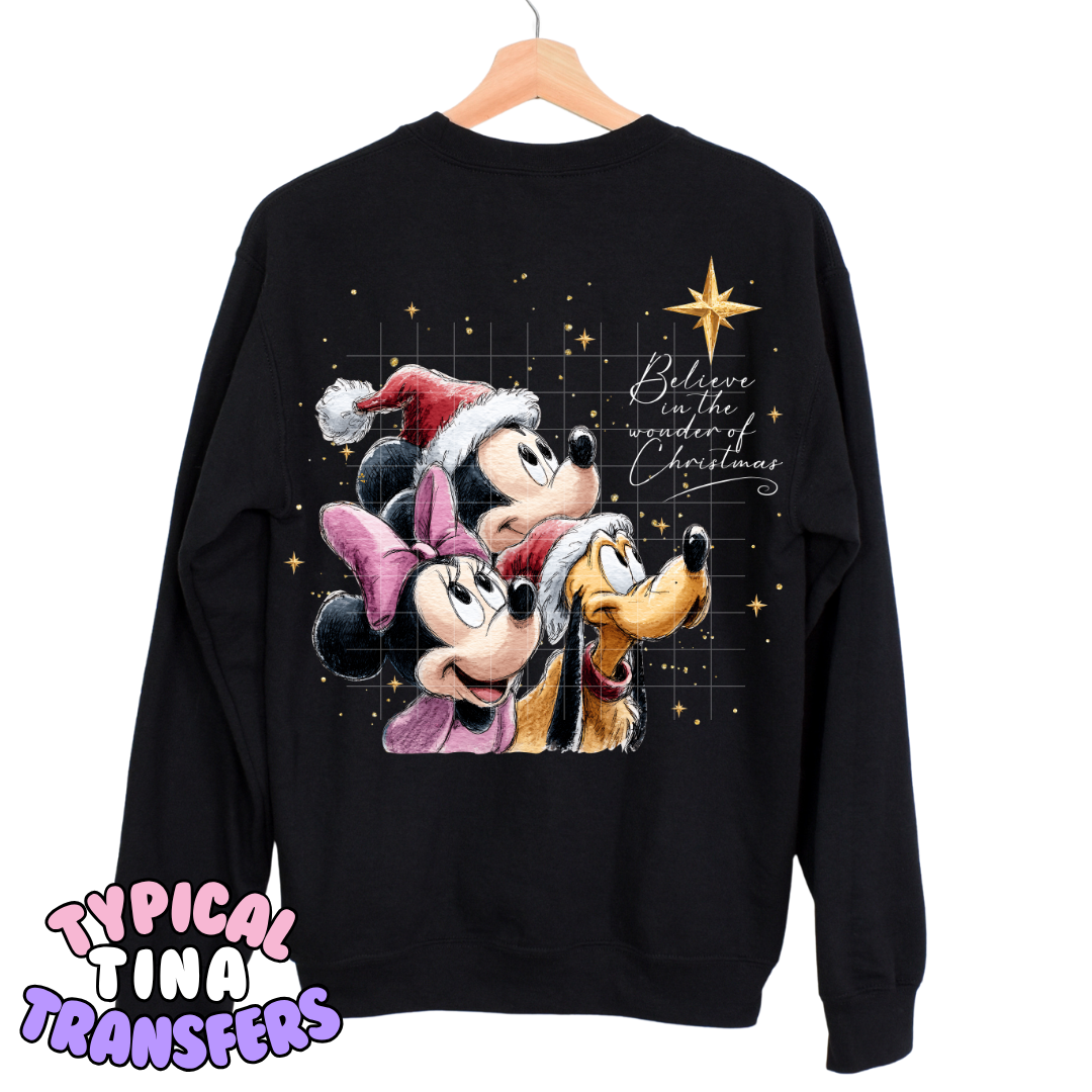 Believe in the wonder of christmas | DTF Screen Print | POD