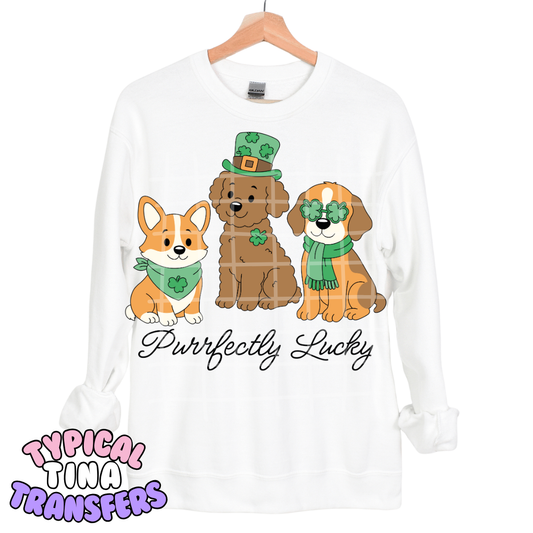 Purrfectly Lucky | DTF Transfers | POD