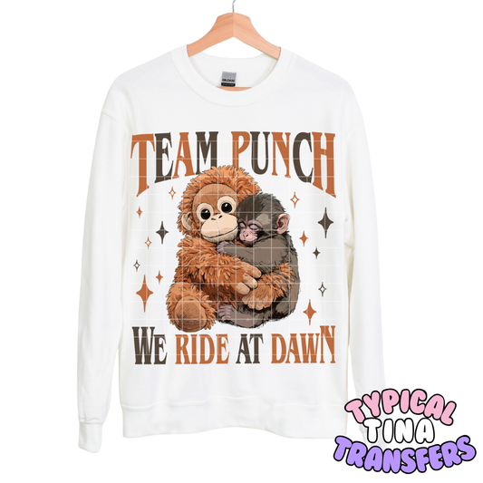 Team punch | DTF Transfers | POD