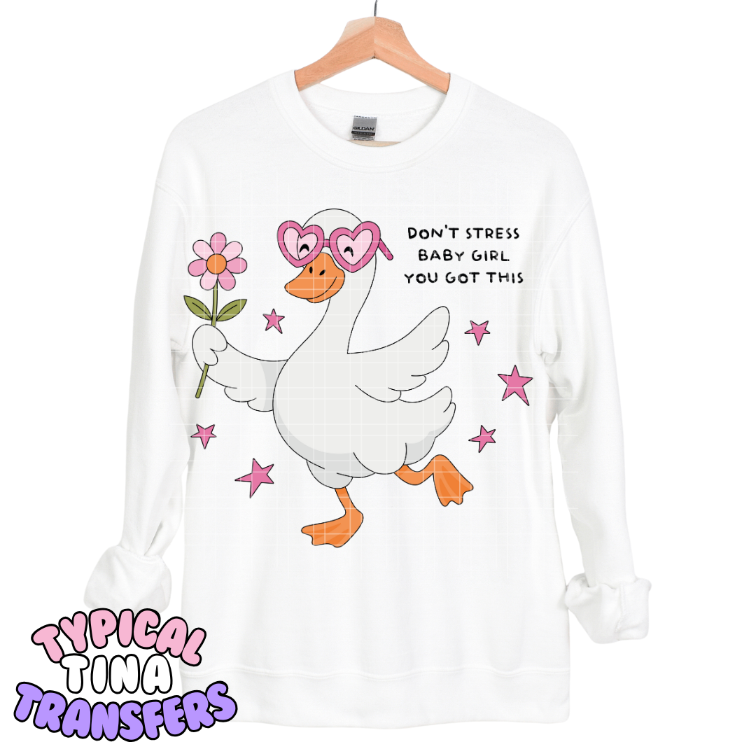 Don't stress baby girl you got this goose | DTF Transfers | POD
