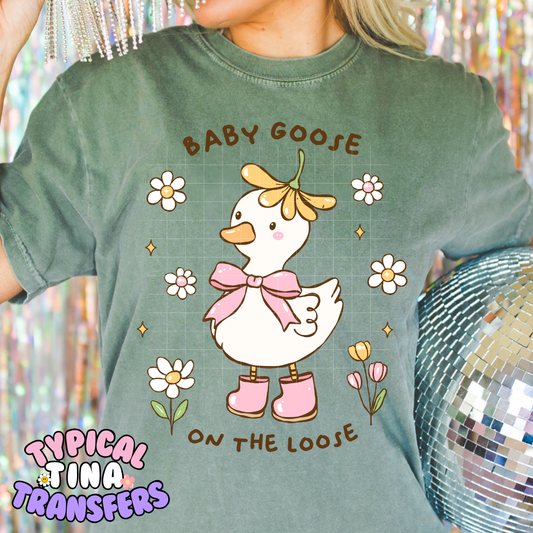 Silly Goose baby | DTF Screen Print | POD