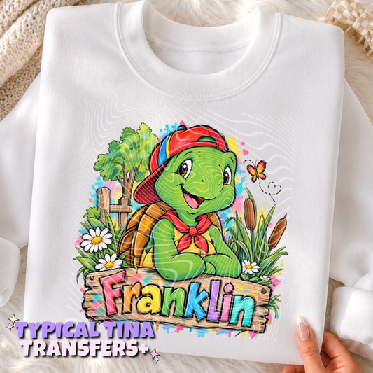 Frankl!n Turtle3 | DTF Transfers | POd