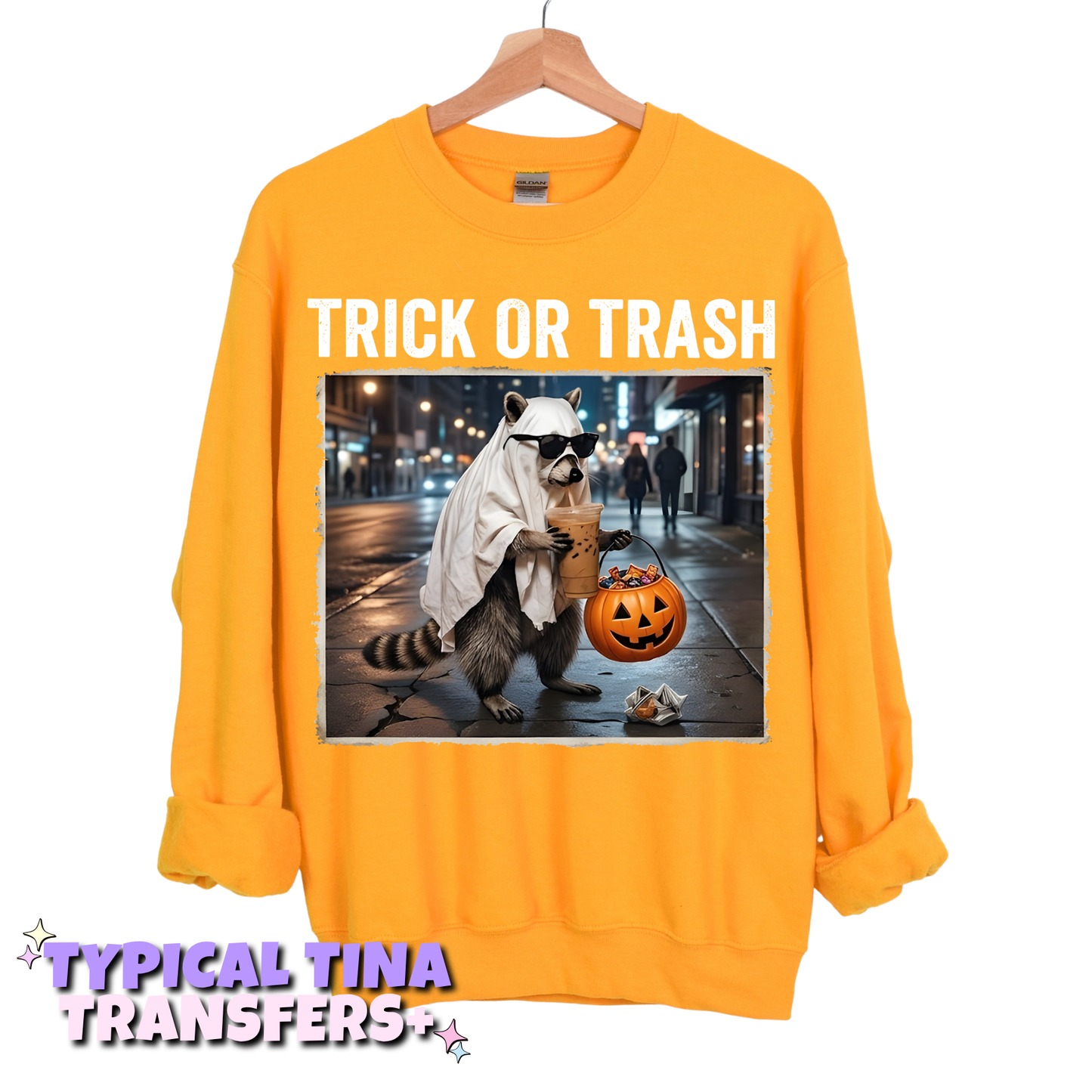 Trick or trash racoon | DTF Transfers | POD